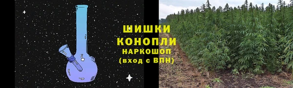 соль курить ск Белокуриха